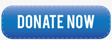 Blue Donate Now Button - Donation - Free Transparent PNG Download ...